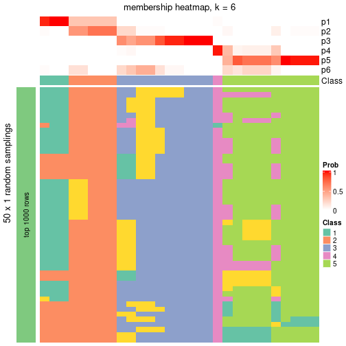 plot of chunk tab-node-052-membership-heatmap-5