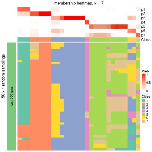 plot of chunk tab-node-052-membership-heatmap-6