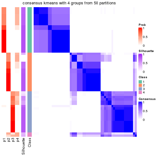 plot of chunk tab-node-0-consensus-heatmap-3