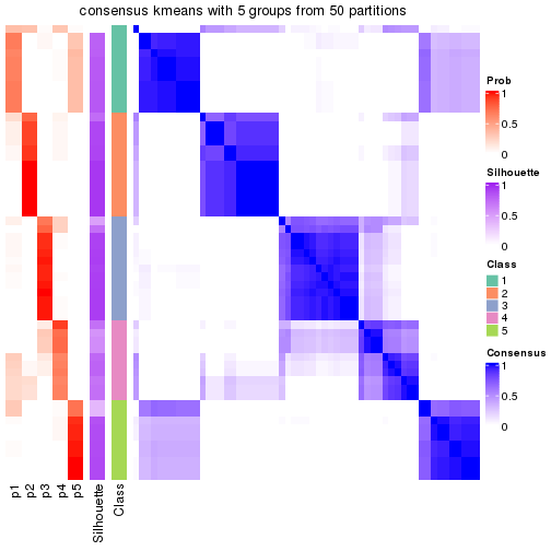 plot of chunk tab-node-0-consensus-heatmap-4