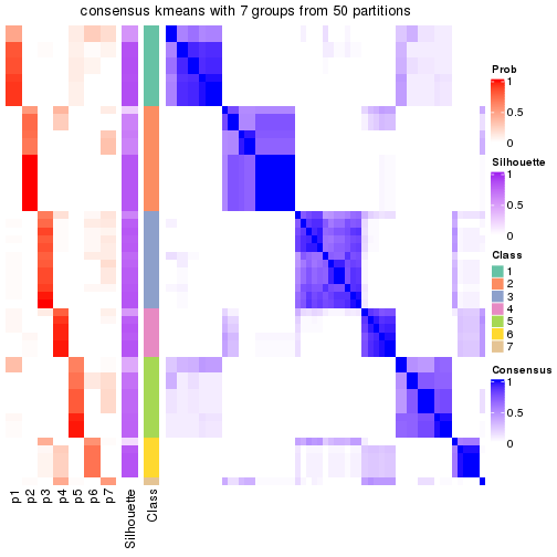 plot of chunk tab-node-0-consensus-heatmap-6