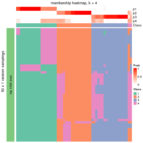 plot of chunk tab-node-0-membership-heatmap-3