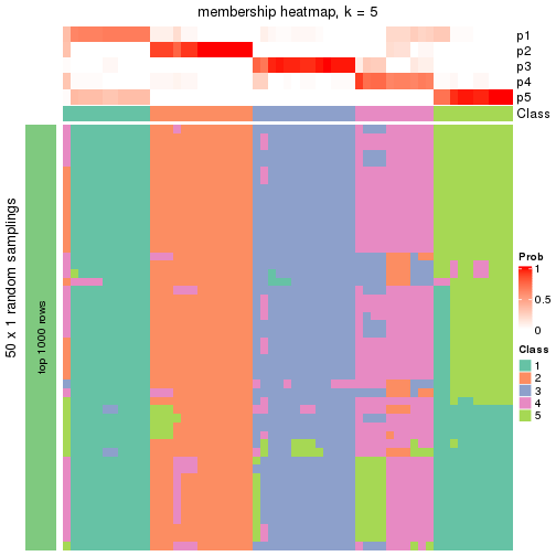 plot of chunk tab-node-0-membership-heatmap-4