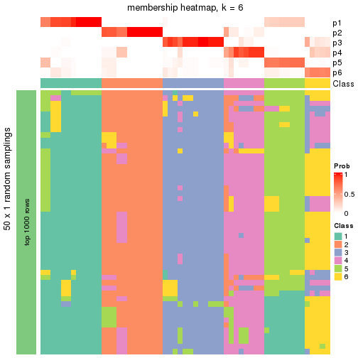 plot of chunk tab-node-0-membership-heatmap-5