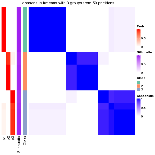 plot of chunk tab-node-01-consensus-heatmap-2