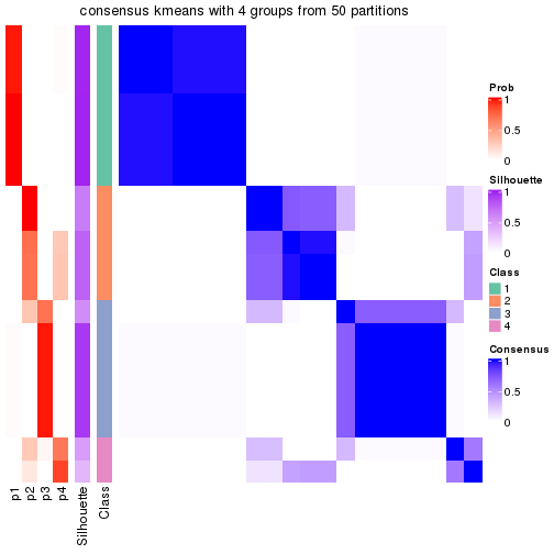 plot of chunk tab-node-01-consensus-heatmap-3