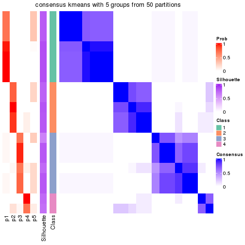 plot of chunk tab-node-01-consensus-heatmap-4