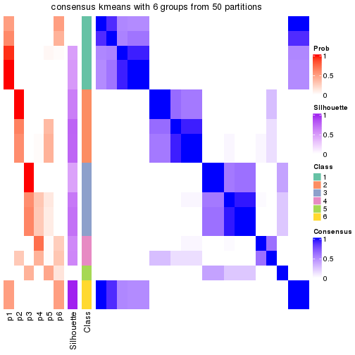 plot of chunk tab-node-01-consensus-heatmap-5