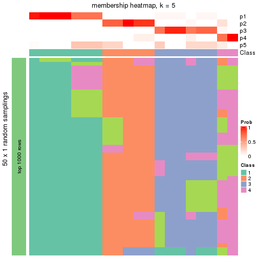 plot of chunk tab-node-01-membership-heatmap-4