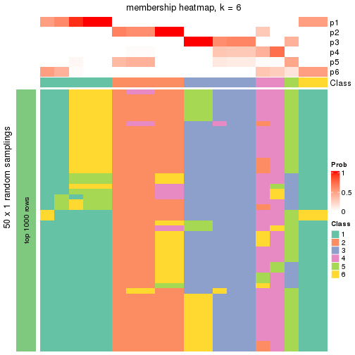 plot of chunk tab-node-01-membership-heatmap-5