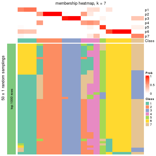 plot of chunk tab-node-01-membership-heatmap-6