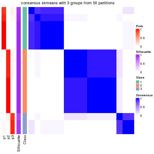 plot of chunk tab-node-02-consensus-heatmap-2