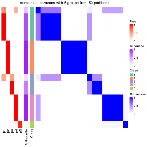 plot of chunk tab-node-02-consensus-heatmap-4