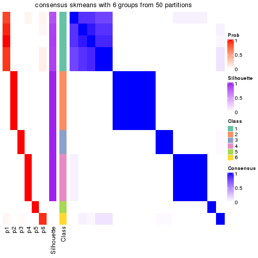 plot of chunk tab-node-02-consensus-heatmap-5