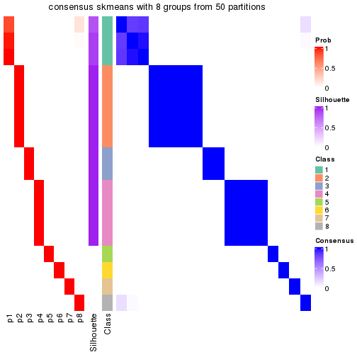 plot of chunk tab-node-02-consensus-heatmap-7