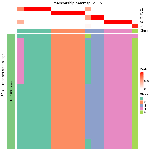 plot of chunk tab-node-02-membership-heatmap-4