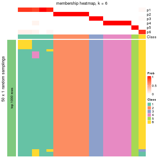 plot of chunk tab-node-02-membership-heatmap-5