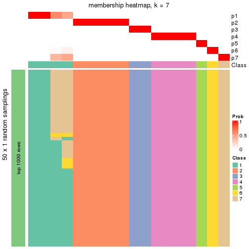 plot of chunk tab-node-02-membership-heatmap-6