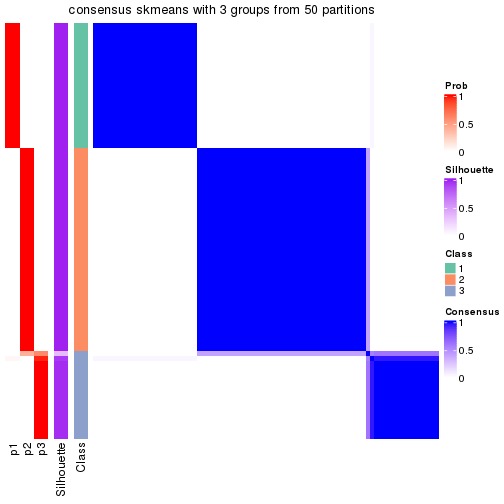 plot of chunk tab-node-0-consensus-heatmap-2