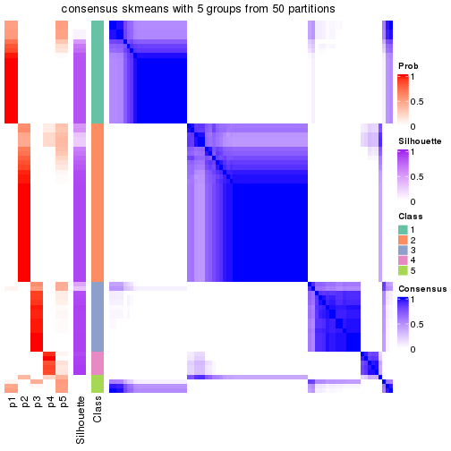 plot of chunk tab-node-0-consensus-heatmap-4