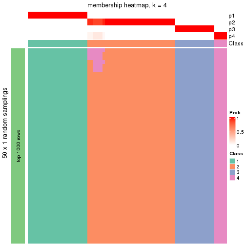 plot of chunk tab-node-0-membership-heatmap-3