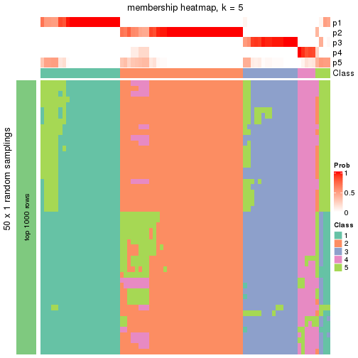 plot of chunk tab-node-0-membership-heatmap-4