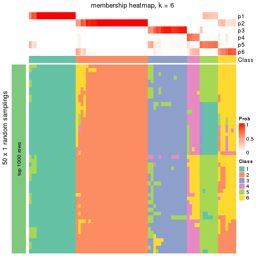 plot of chunk tab-node-0-membership-heatmap-5