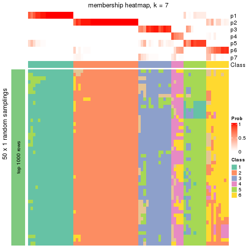 plot of chunk tab-node-0-membership-heatmap-6