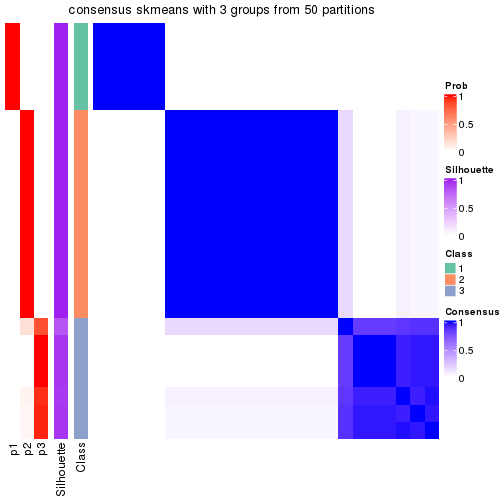 plot of chunk tab-node-01-consensus-heatmap-2