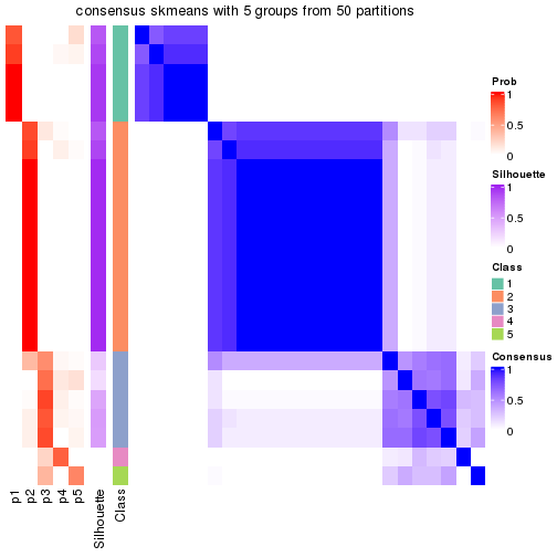 plot of chunk tab-node-01-consensus-heatmap-4