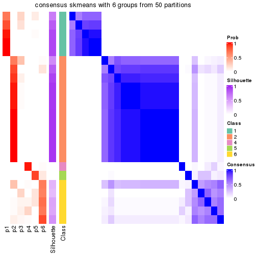 plot of chunk tab-node-01-consensus-heatmap-5