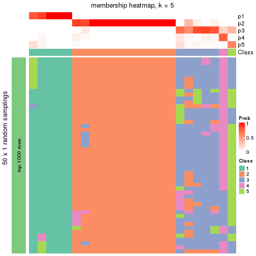 plot of chunk tab-node-01-membership-heatmap-4