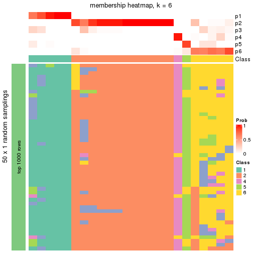 plot of chunk tab-node-01-membership-heatmap-5