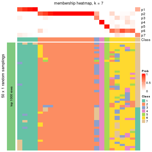 plot of chunk tab-node-01-membership-heatmap-6