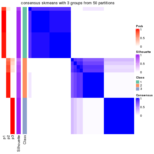 plot of chunk tab-node-02-consensus-heatmap-2