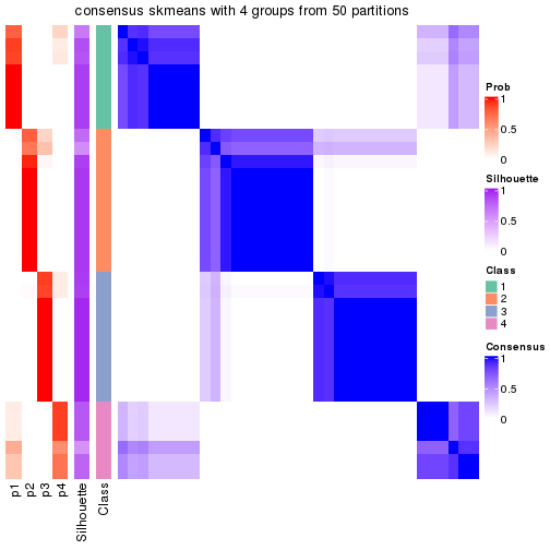 plot of chunk tab-node-02-consensus-heatmap-3