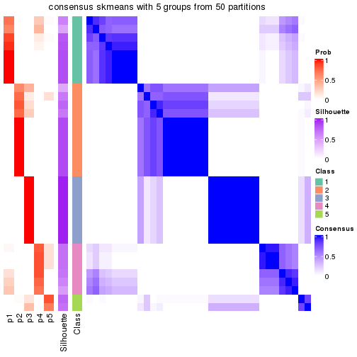 plot of chunk tab-node-02-consensus-heatmap-4