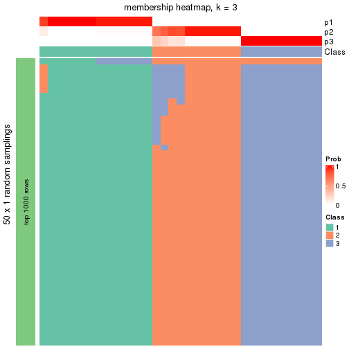 plot of chunk tab-node-02-membership-heatmap-2