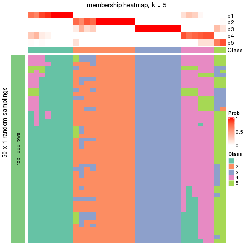 plot of chunk tab-node-02-membership-heatmap-4