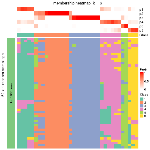 plot of chunk tab-node-02-membership-heatmap-5