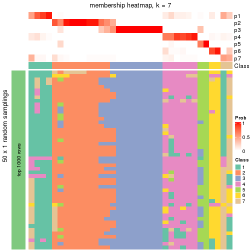 plot of chunk tab-node-02-membership-heatmap-6