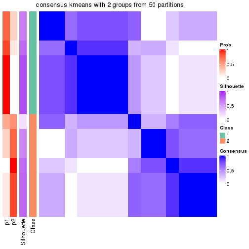 plot of chunk tab-node-021-consensus-heatmap-1