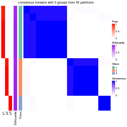 plot of chunk tab-node-021-consensus-heatmap-2