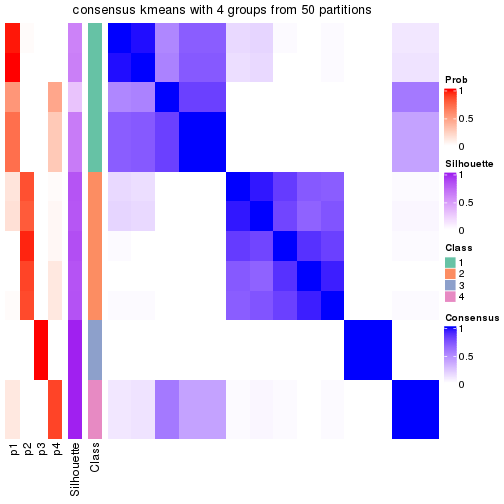 plot of chunk tab-node-021-consensus-heatmap-3