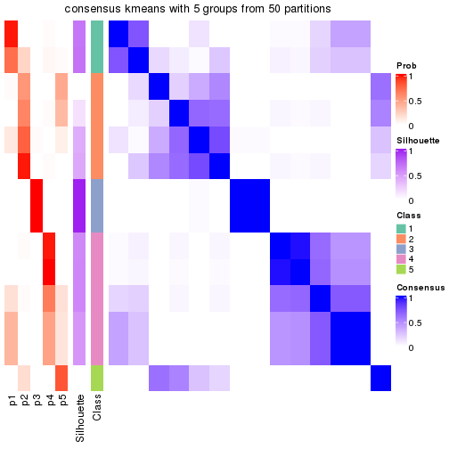 plot of chunk tab-node-021-consensus-heatmap-4