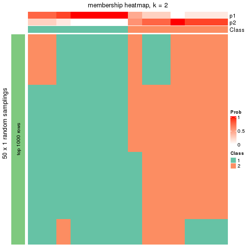 plot of chunk tab-node-021-membership-heatmap-1