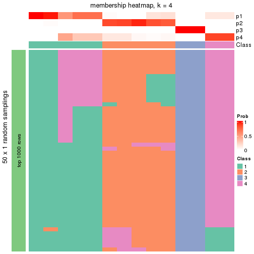 plot of chunk tab-node-021-membership-heatmap-3