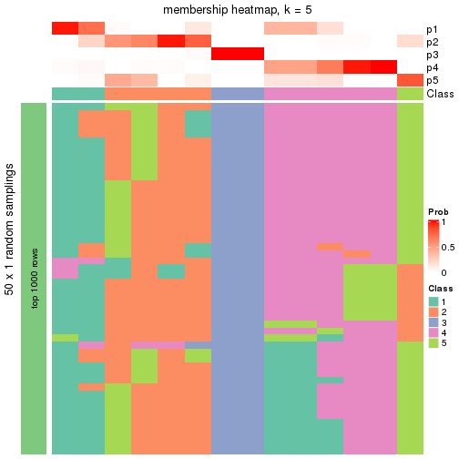 plot of chunk tab-node-021-membership-heatmap-4