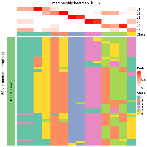 plot of chunk tab-node-021-membership-heatmap-5