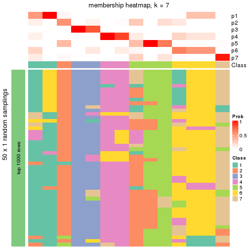 plot of chunk tab-node-021-membership-heatmap-6